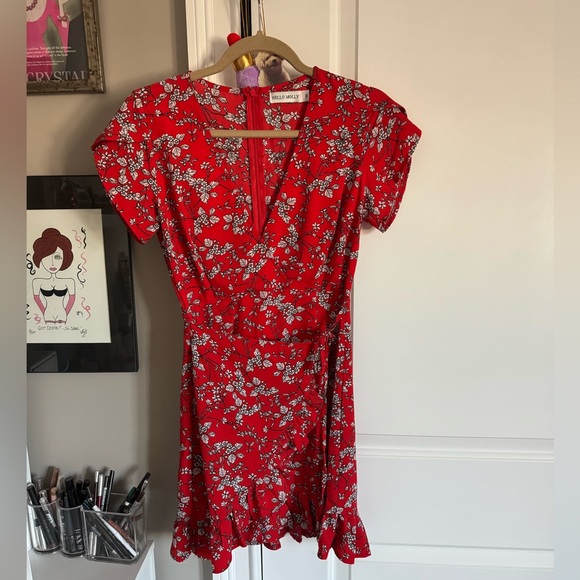 Hello Molly Dresses & Skirts - Hello Molly Scarlet Blossom Mini Dress